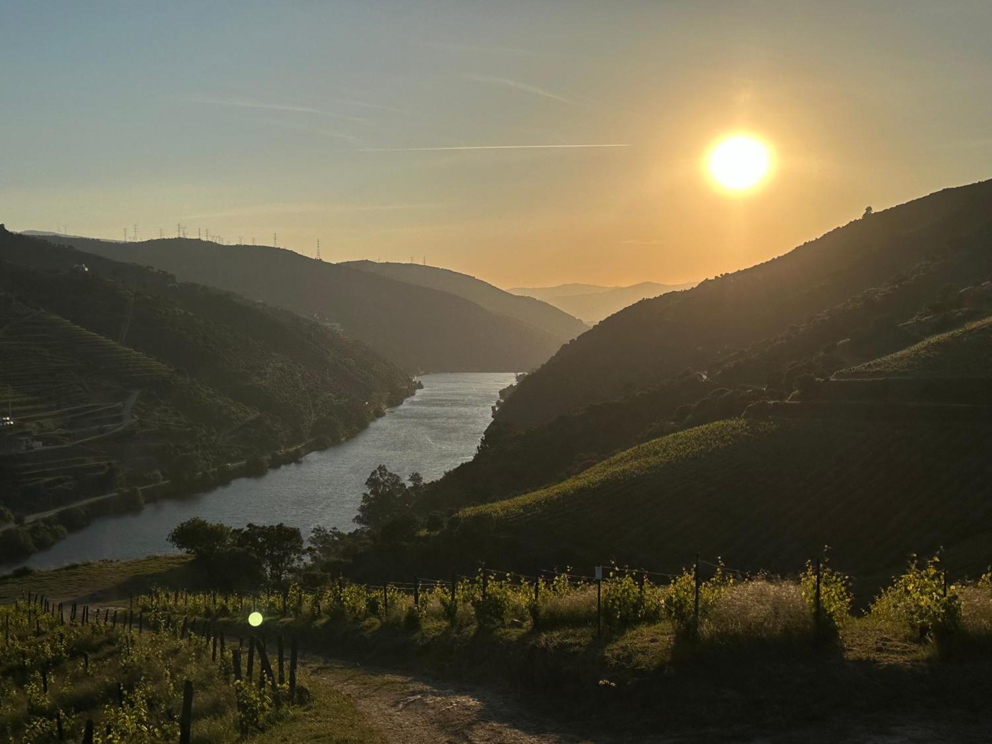 Pmdourovalley Peso da Régua Eksteriør billede