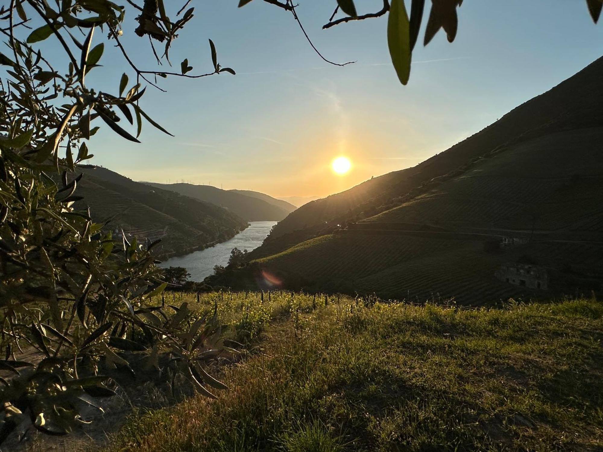 Pmdourovalley Peso da Régua Eksteriør billede